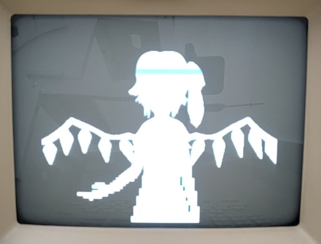 Overflow of custom characters